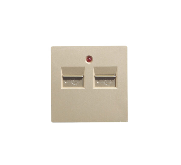 USB laadija, 2 x 3.1A, kuldne